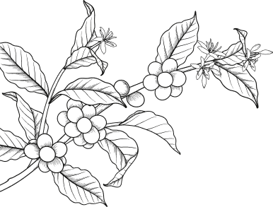 Left Flower
