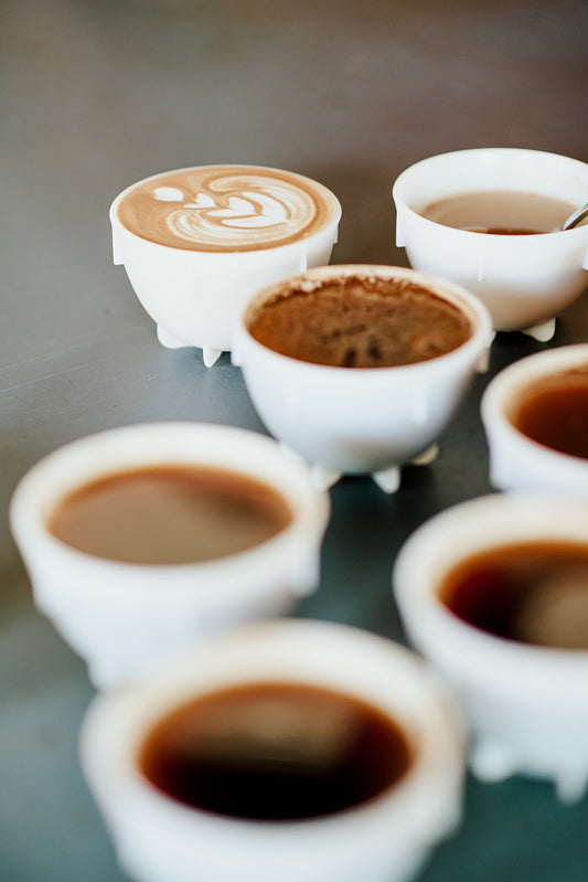 Barista Fundamentals